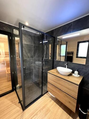 a bathroom with a sink and a glass shower at Superbe Chalet Cabane Chabanon in Selonnet