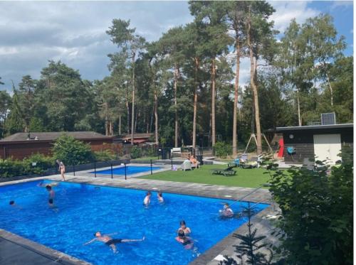 a group of people swimming in a swimming pool at Heerlijk chalet in prachtige natuur. in Doornspijk