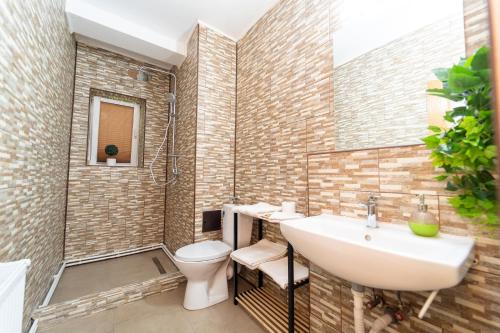 een badkamer met een wastafel en een toilet bij Vila Veverita in Predeal