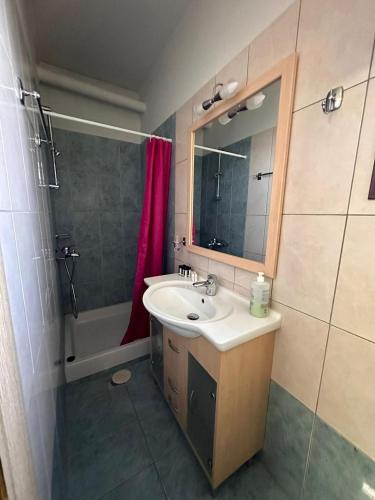 ein Bad mit einem Waschbecken, einem Spiegel und einer Dusche in der Unterkunft Lefkada Villas - Cheloni Villa Vafkeri in Vavkerí