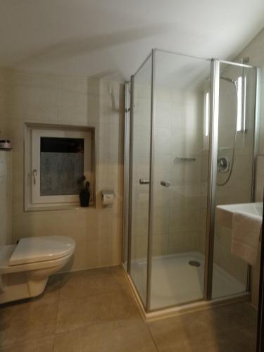 a bathroom with a shower and a toilet and a sink at Haus Alpenglühen in Ehrwald