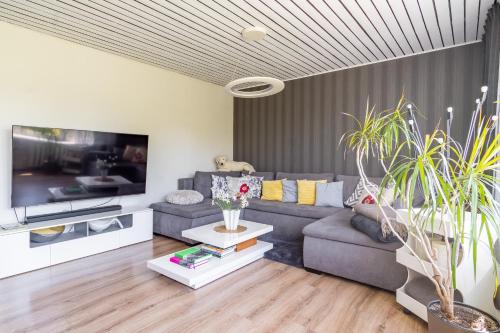 a living room with a gray couch and a tv at Fantastic 170m2 Villa with a big garden in Pärnu