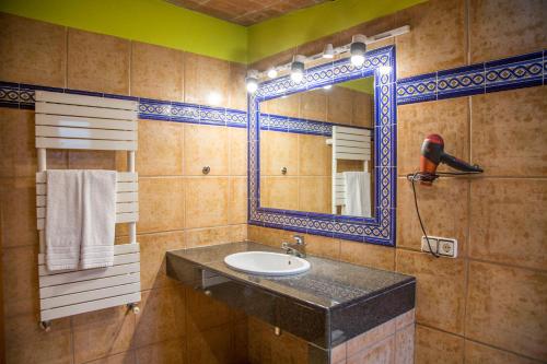 a bathroom with a sink and a mirror at Apartamentos Els Ocells in Camprodon