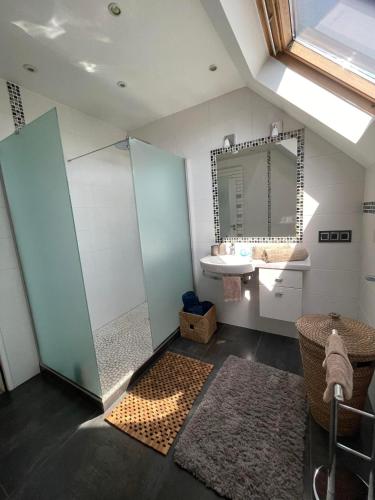 a bathroom with a shower and a sink and a mirror at Appartement jerry et joy in Wolfisheim