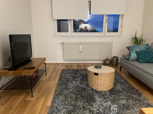 TV a/nebo společenská místnost v ubytování Appartement jerry et joy