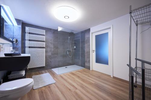 ヴァンゲン・イム・アルゴイにあるAlfreds Ferienbauernhofのバスルーム(シャワー、トイレ、シンク付)