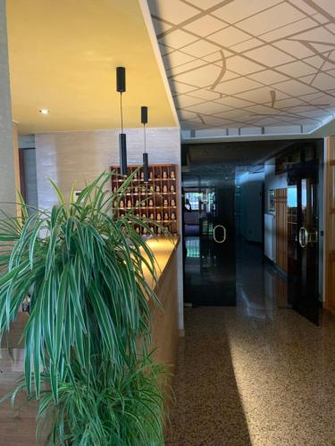 a potted plant in the middle of a lobby at Beohotel in San Lorenzo in Banale