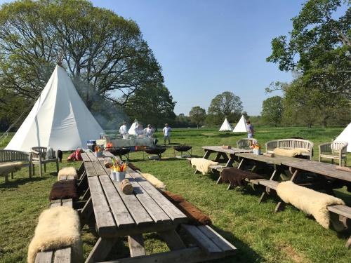 a group of picnic tables with sheep laying on the grass at Tipi Adventure in Walford