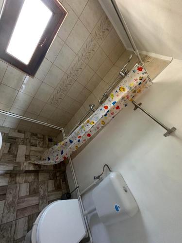 un bagno con un water e una tenda da doccia di Casa Delia a Vadu