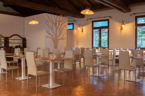 a room with tables and chairs and a tree on the wall at Aquasole in Mercallo