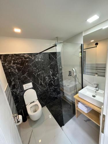 ein Badezimmer mit Toilette und Waschbecken in der Unterkunft Cabana A in Borşa