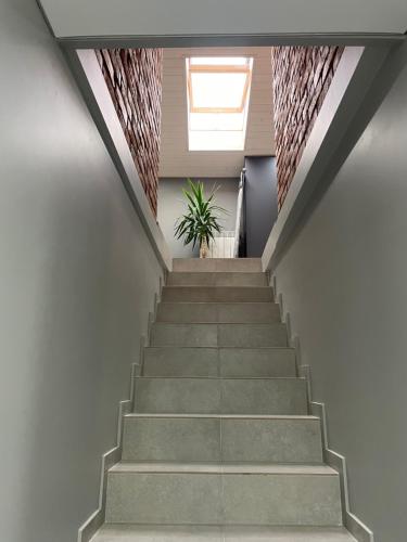 a staircase in a building with a potted plant at «ГОРИ́ЩЕ на площі Польський ринок» in Kamianets-Podilskyi