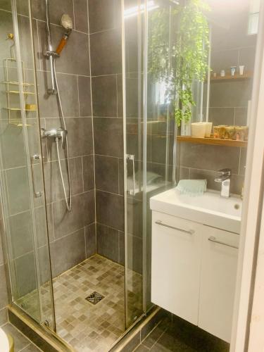 une salle de bain avec douche et lavabo dans l'établissement Un havre de paix marseillais, à Marseille