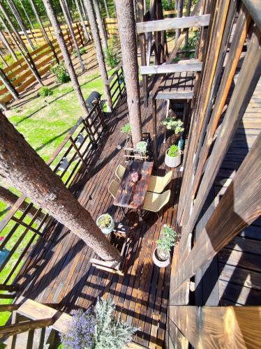 an overhead view of a deck with benches and a tree at Domek lubiana180 SCANDI wśród drzew jacuzzi taras na dachu jezioro Kaszuby Pieski tylko do 10kg za dodatkową opłatą in Grzybowo