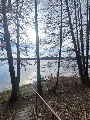 a view of the water through the trees at Domek lubiana180 SCANDI wśród drzew jacuzzi taras na dachu jezioro Kaszuby Pieski tylko do 10kg za dodatkową opłatą in Grzybowo