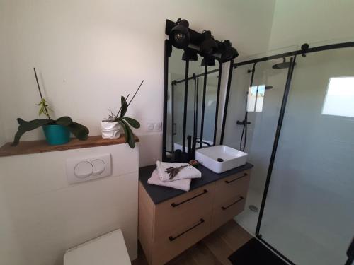 une salle de bain avec une vanité avec un miroir et un lavabo dans l'établissement Chambre d'hôte Villelaure, à Villelaure