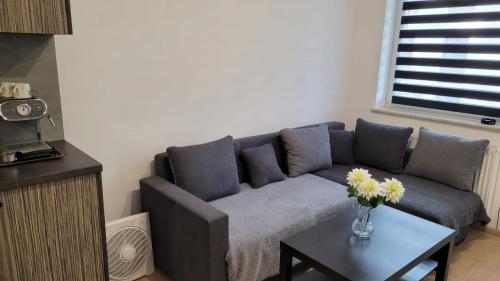 uma sala de estar com um sofá e uma mesa em Apartament "Cztery Pory Roku" em Świdnik