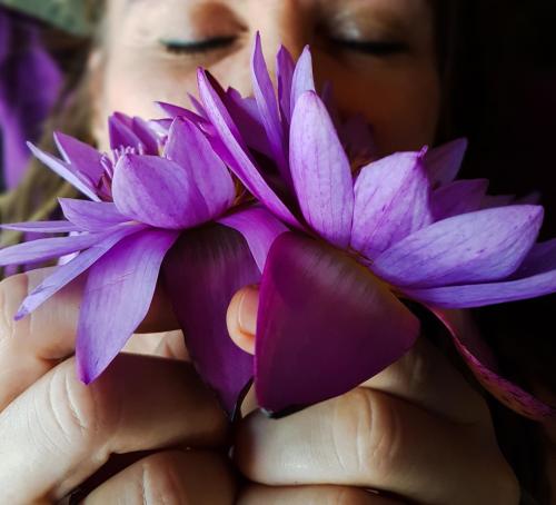 a woman holding a purple flower in her hands at Singharaja Garden AGRO ECO Lodge in Pelawatta