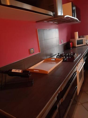 une cuisine avec une cuisinière et un comptoir dans l'établissement Le Petit Nid, à Saint-Loubès