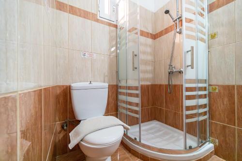 a bathroom with a toilet and a glass shower at Arianna Superior Studio 19 in Paleokastritsa