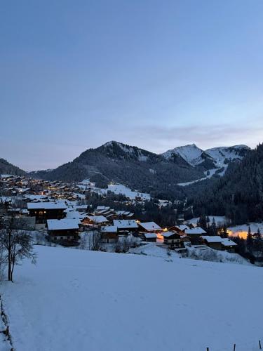 a town covered in snow with mountains in the background at Chalet Alpaga 3 classé 4 étoiles in Châtel