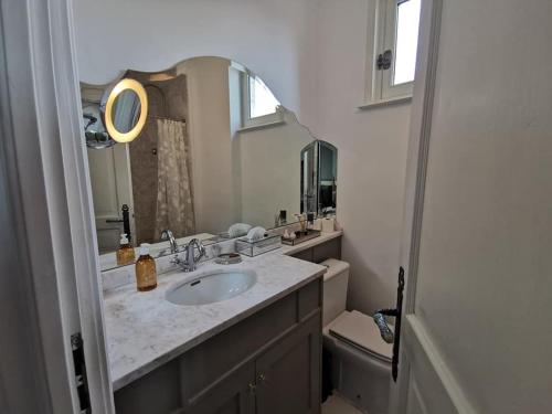 a bathroom with a sink and a mirror at Manoir Marceau in Vieil-Hesdin
