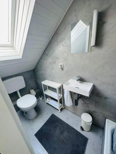 a bathroom with a sink and a toilet and a mirror at appartme. XS in Bad Herrenalb