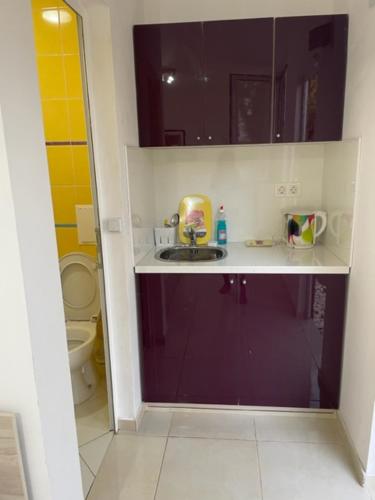 Salle de bains dans l'établissement Sun Houses Novo Oriahovo