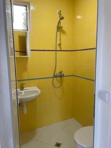 ein Bad mit einer Dusche, einem WC und einem Waschbecken in der Unterkunft Sun Houses Novo Oriahovo 