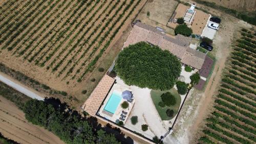 an overhead view of a field with a house and a pool at Le Mas Andoli in Tresques