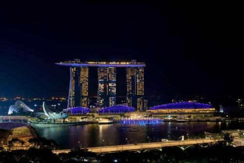 einen nächtlichen Blick auf eine Stadt mit einem großen Gebäude in der Unterkunft Peninsula Excelsior Singapore, A Wyndham Hotel in Singapur