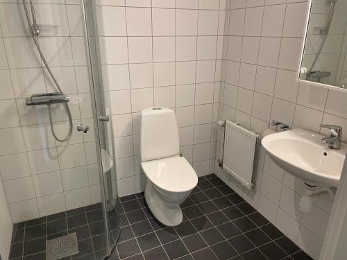 łazienka z toaletą i umywalką w obiekcie Ljusnedal lägenhet med golf, paddel, fiske och skidåkning w mieście Ljusnedal