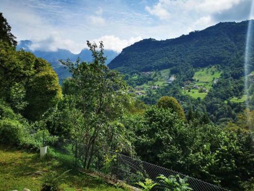 vistas a un valle con árboles y montañas en La Casa di Raffaella - appartamento con giardino en Bracca