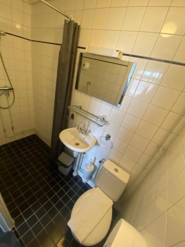 a bathroom with a toilet and a sink and a mirror at Het Wapen van Aelden in Aalden