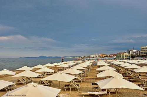 un montón de sombrillas en una playa con el océano en Appartamento Velvet Beach, en Senigallia