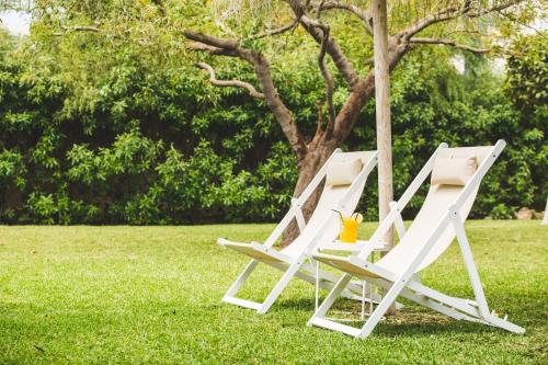 two white lawn chairs sitting next to a tree at Hotel Almirante in Alicante