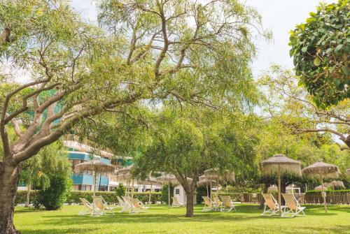 a group of chairs and umbrellas in a park at Hotel Almirante in Alicante