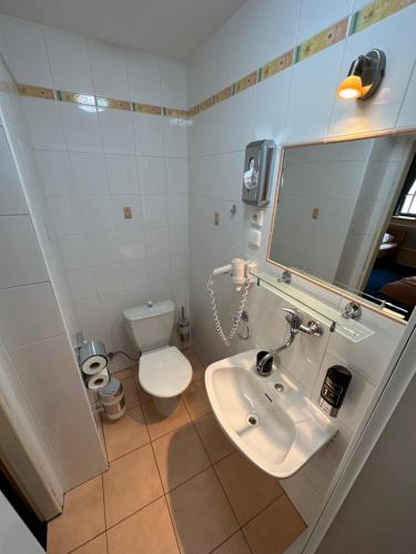 W łazience znajduje się umywalka, toaleta i lustro. w obiekcie PENZION HRNČÍŘ w mieście Kutná Hora