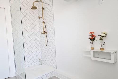 une douche avec une porte vitrée dans une salle de bain dans l'établissement 【】Le Retro【】 , Belfort ville, à Belfort