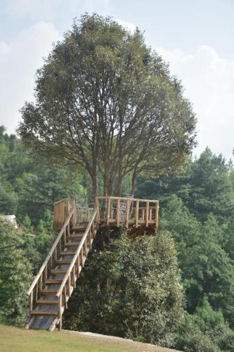 a wooden staircase leading up to a tree at Ihram Hotel And Guest House in Swat