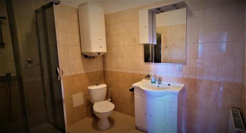 a bathroom with a toilet and a sink and a mirror at Gold Stok in Złoty Stok