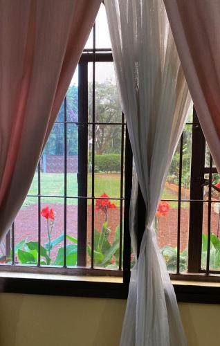 a window with curtains and a view of a yard at Home Feeling Kilimanjaro in Moshi