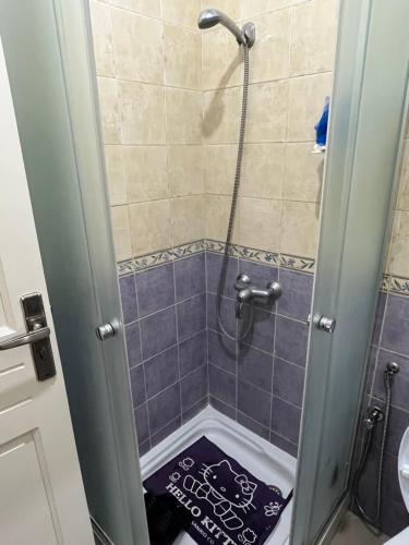 a bathroom with a shower with a blue tile at Appartement S1 Jardins l aouina in Tunis