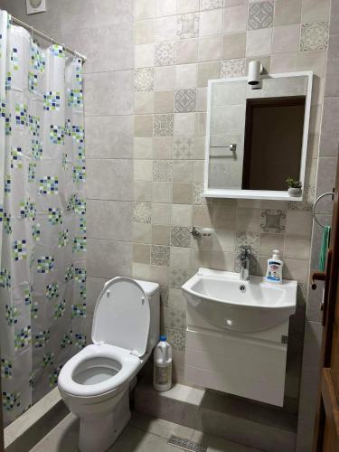 een badkamer met een toilet, een wastafel en een douche bij Apartment Tskaltubo in Tsqaltubo
