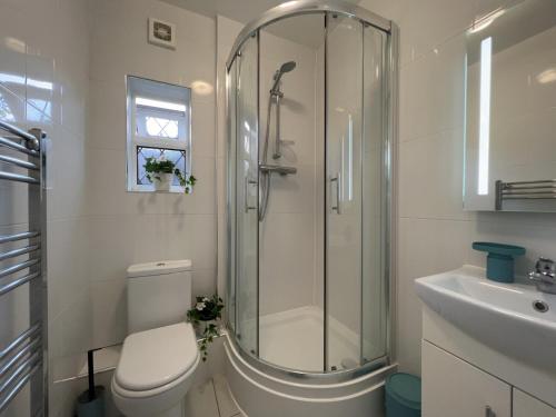 een badkamer met een douche, een toilet en een wastafel bij Pass the Keys Cosy Studio Flat Close To Bexleyheath Centre in Bexleyheath