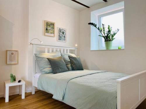 - une chambre blanche avec un lit et une plante en pot dans l'établissement Restaurierter Altbau mit privatem Innenhof & Parkplatz, à Großfischlingen