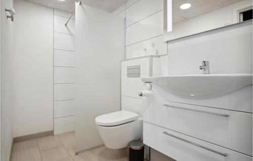 エーベルトフトにあるGorgeous Home In Ebeltoft With Wifiの白いバスルーム(トイレ、シンク付)