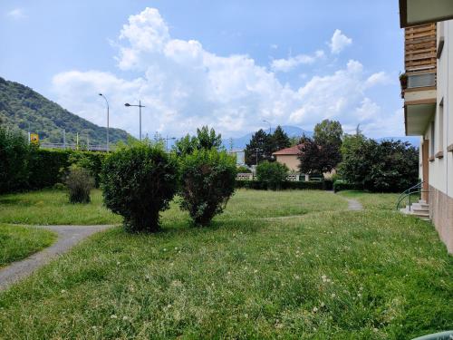 a yard with two bushes in the grass at L'Edelweiss Campus & Parking privé securisé in Gières