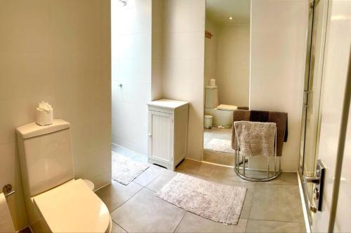 a bathroom with a toilet and a shower with a mirror at Little Tern - Rye Harbour - Games room & Office in Rye Harbour