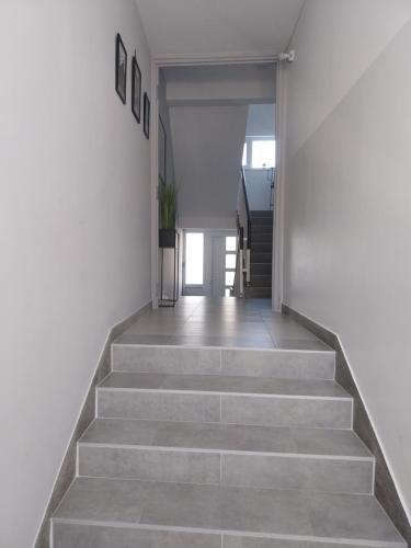 a hallway with stairs with a potted plant at Apartman Bloom in Osijek